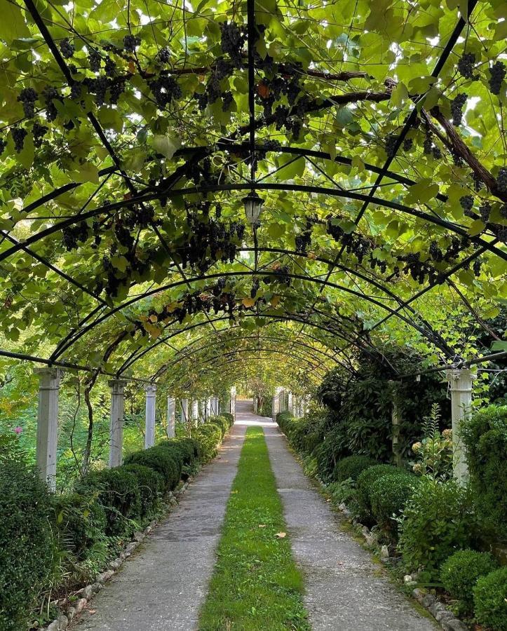 Villa D'Amore Montenegro Donji Morinj Exteriér fotografie